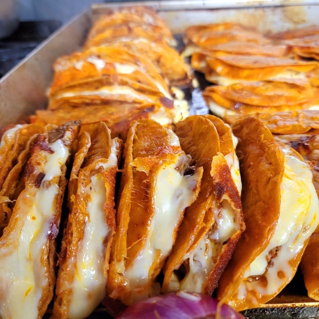 the best quesabirrias in chicago and the world